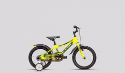 16" CTM  Foxy