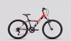 24" CTM  Willy 2.0